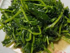 豌豆尖-良泉足疗
