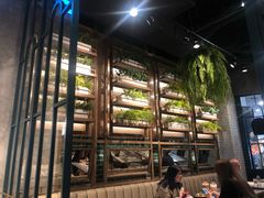 -Kub Kao Kub Pla (Terminal21)