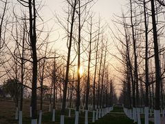 -汉长安城未央宫国家考古遗址公园