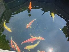 -西安市广仁寺