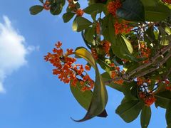 -重庆医科大学附属第一医院(金山院区)