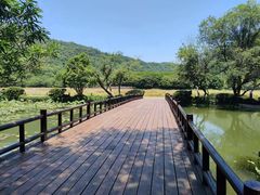 -八卦田遗址公园