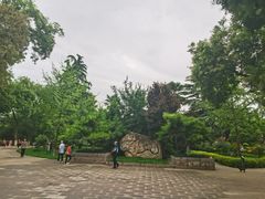 -莲湖公园