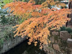 -上海醉白池公园