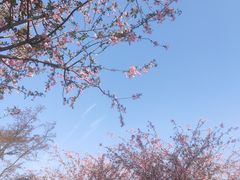 -南山风景名胜区