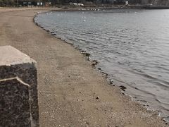 -烟墩角天鹅湖