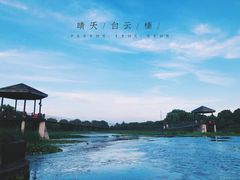 -荷塘月色湿地公园·向阳花洲