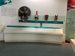 -安徽省地质博物馆