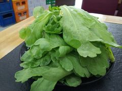 茼蒿-新乡杨记红焖羊肉火锅(天坛南门店)