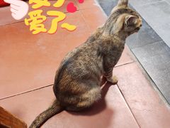 -亚肥沙茶面(黄厝店)
