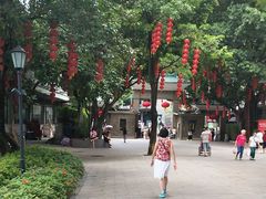 -荔湾湖公园