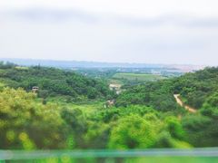 -远山有窑