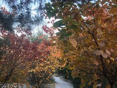 -阳台山自然风景区