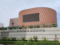 -中国宋庆龄青少年科技文化交流中心