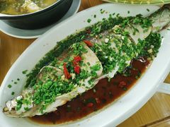 太湖白鱼-宾湖农庄·农场特色(太湖龙之梦店)