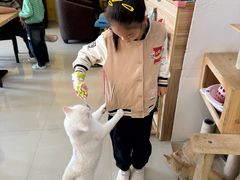 -猫咪咖啡店(新城大街店)