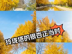 -玲珑塔公园