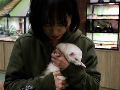 -藦茜花园宠物主题亲子互动体验馆(国顺东路店)