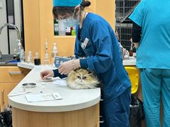 -联合动物医院(光谷诊疗中心)