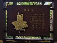 -杭州半山国家森林公园