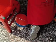 -成康体育青少年篮球培训(相城店)