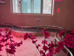 -兴芮温泉度假区