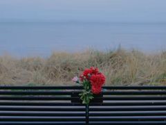 -朝阳公园游乐园