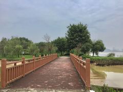 -鹤之洲湿地公园