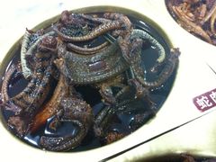 蛇肉！！-老枝花卤(玉林店)