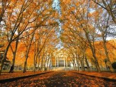 -河南省黄河迎宾馆