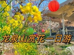 -桃源山庄·水蜜桃采摘·柴火鸡·烧烤团建(龙泉山店)