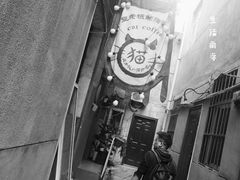 -豆老板的猫咖啡(碑林博物馆店)