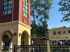 -合肥滨湖国家森林公园