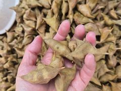 -盂城驿-南门大街