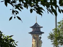 -溱湖国家湿地公园