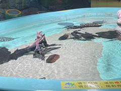 -台州海洋世界