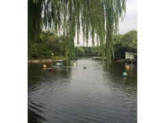 -共青国家森林公园-售票处