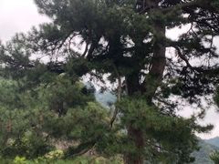 -秦岭终南山世界地质公园翠华山景区