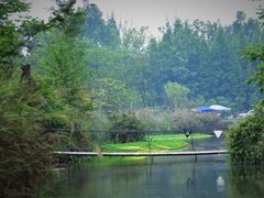 -桤木河湿地公园