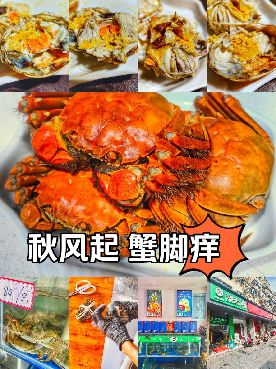 秋风起 蟹脚痒