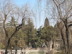 -洛阳白马寺