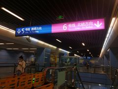 -大龙山(地铁站)