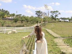 -紫颐香薰山谷景区