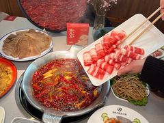 -渝大龙重庆火锅(温泉月亮湾店)