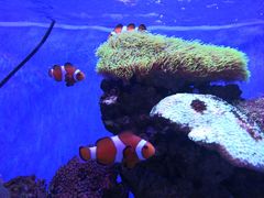 -多彩贵州城极地海洋世界