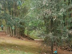 -昆明动物园