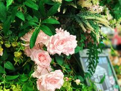 -第101座花园餐厅(湖滨88店)