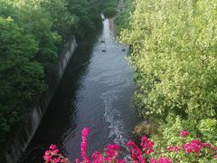 -重庆彩云湖湿地公园