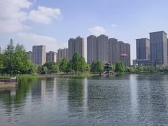 -洋湖国家湿地公园
