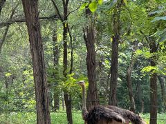 -北京野生动物园